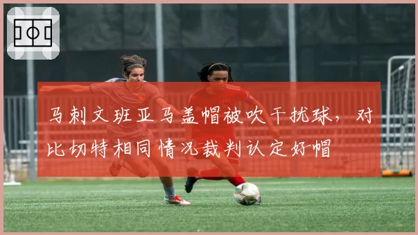 马刺文班亚马盖帽被吹干扰球,对比切特相同情况裁判认定好帽
