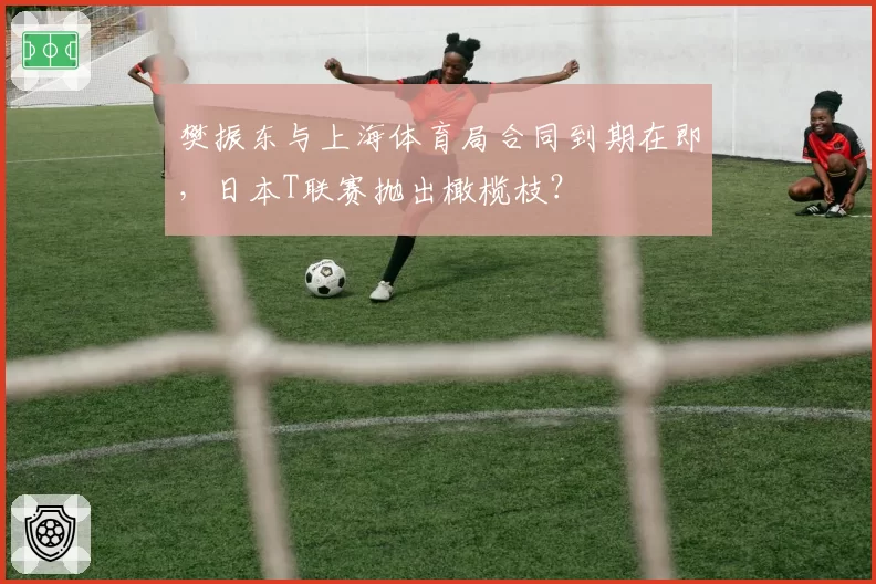 樊振东与上海体育局合同到期在即，日本T联赛抛出橄榄枝？